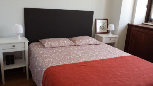 Vibrant 2 Bedroom Apartment facing Redonda Beach