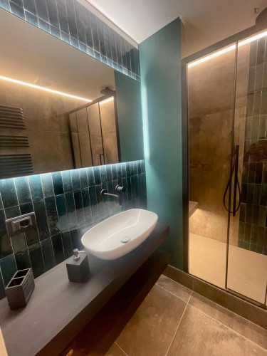 Double ensuite-bedroom in a modern apartment