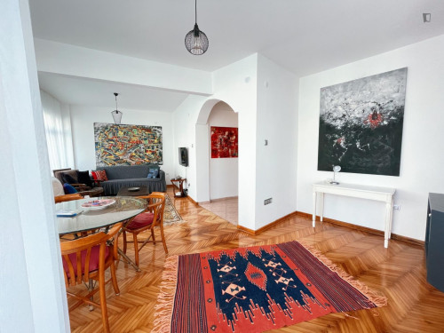 Sunny 2-bedroom apartment in Cihangir