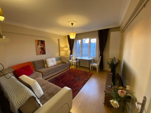 Charming 1-bedroom apartment in Akaretler