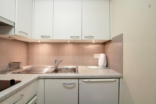 Nice 1 bedroom apartment near Jardin Nenson Mandela