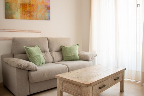 Bright studio apartment with balcony and shared rooftop in central Malaga