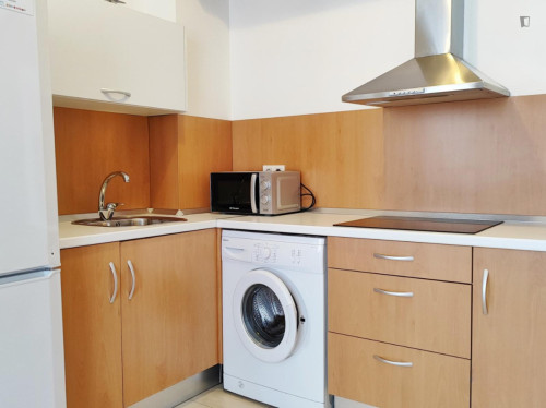 Bright studio apartment with balcony and shared rooftop in central Malaga - Gallery - 7