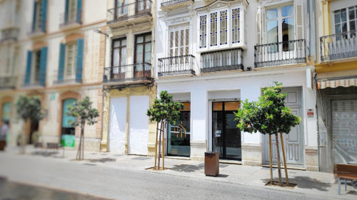 Beautiful studio with access to shared rooftop in central Malaga