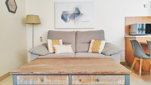 Beautiful studio with access to shared rooftop in central Malaga