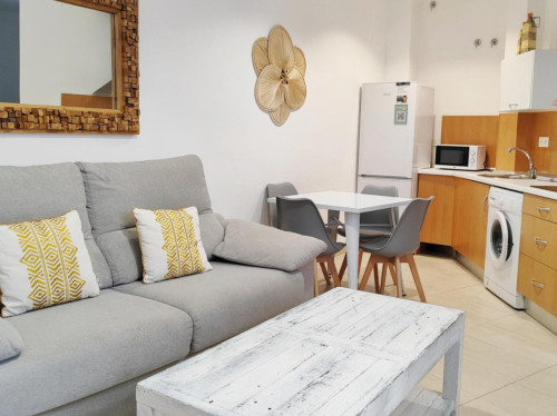 Cozy apartment with shared rooftop in central Malaga