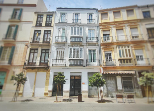 Bright studio apartment with balcony and shared rooftop in central Malaga