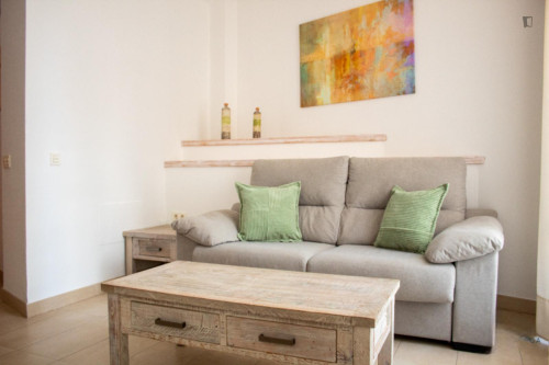 Bright studio apartment with balcony and shared rooftop in central Malaga - Gallery - 13