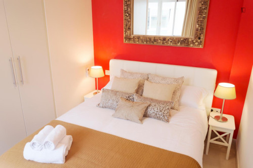 Wonderful studio with shared rooftop in central Malaga