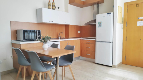 Bright studio apartment in central Malaga with shared rooftop - Gallery - 9
