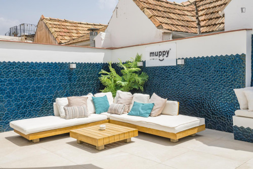 Bedroom for rent in San Juan 5, Málaga - Gallery - 17