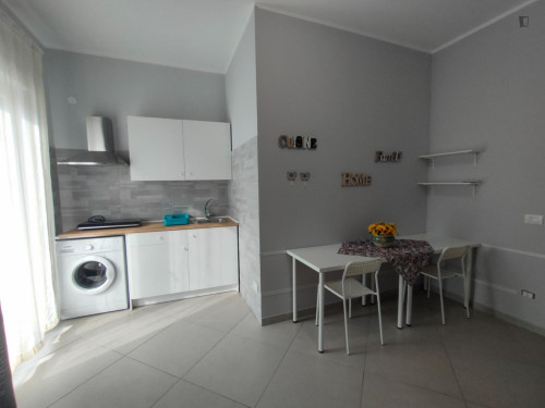 Cozy and bright studio with balcony next to Palermo's central station 42