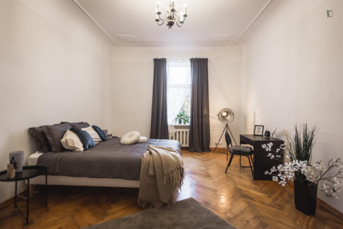 Spacious double bedroom in Centrs