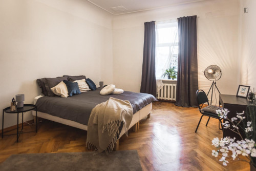 Spacious double bedroom in Centrs