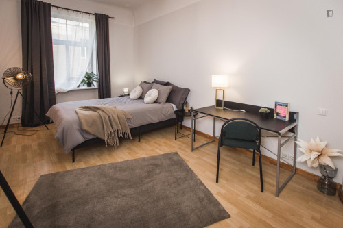 Appealing double bedroom in the centre of Riga 