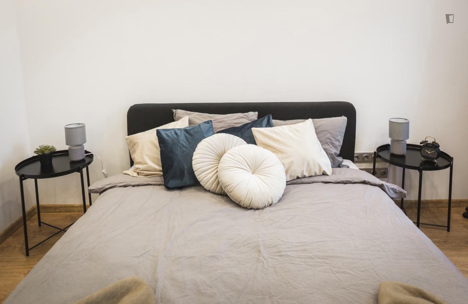 Nice Double Bedroom In Shared Flat In Maskavas Forštate - Nice double bedroom in shared flat in Maskavas Forštate - Gallery - 1