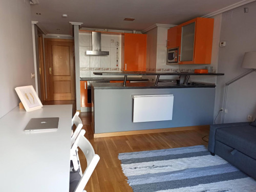 Welcoming 1 Bedroom Apartment close to Urbano de las Contiendas Park  - Gallery -  5
