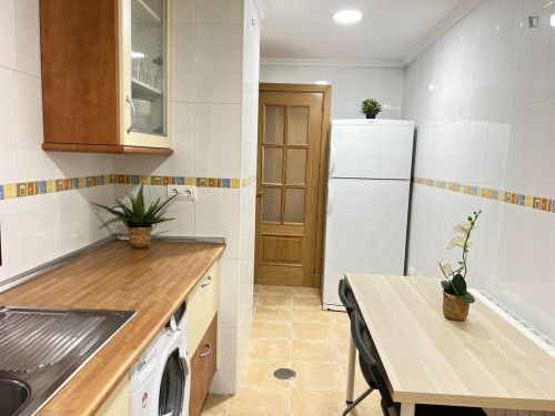 Single bedroom in 5-bedroom apartment - Gallery - 10