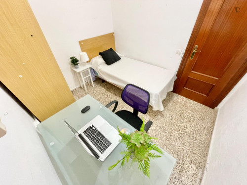 Very nice single bedroom in San Vicente del Raspeig - Gallery - 2