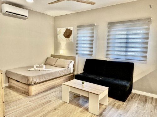 Vibrant Studio close to Del Tossal Park