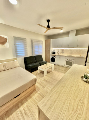 Vibrant Studio close to Del Tossal Park