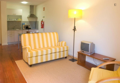 Modern 1 Bedroom Apartment close to Braga Cathedral