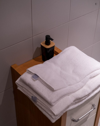 Modern 1 Bedroom Apartment close to Braga Cathedral - Gallery - 7