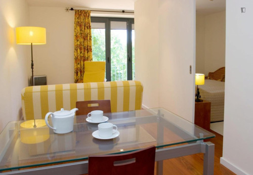 Modern 1 Bedroom Apartment close to Braga Cathedral