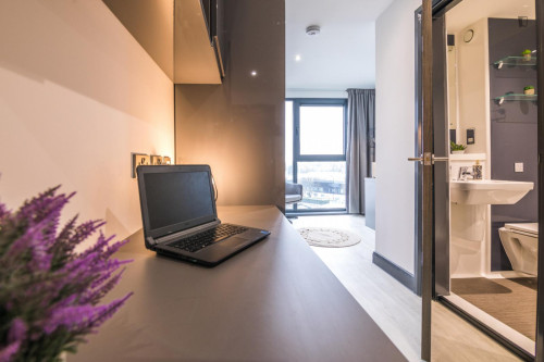 Cosy double ensuite bedroom in a 2-bedroom flat, close to Coventry University - Gallery - 52