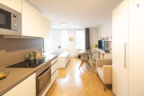 Appealing studio in Gallus - Gallery - 210
