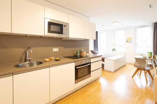 Appealing studio in Gallus - Gallery - 237