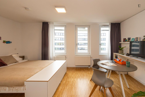 Appealing studio in Gallus - Gallery - 136
