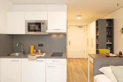 Appealing studio in Gallus - Gallery - 13