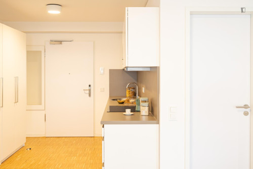 Appealing studio in Gallus - Gallery - 229