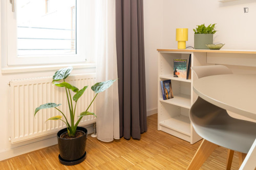 Appealing studio in Gallus - Gallery - 232