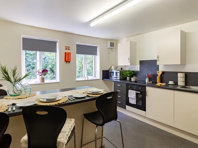 Premium En Suite - Park Court - Gallery - 6