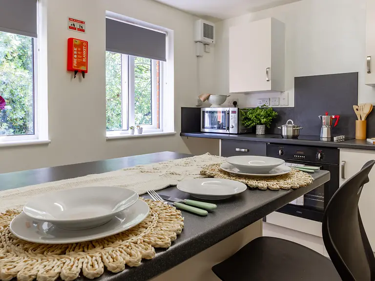 Premium En Suite - Park Court - Gallery - 4