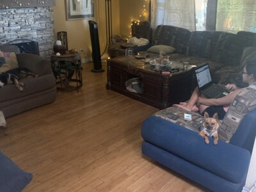 Close to Grossmont College! - Gallery - 18