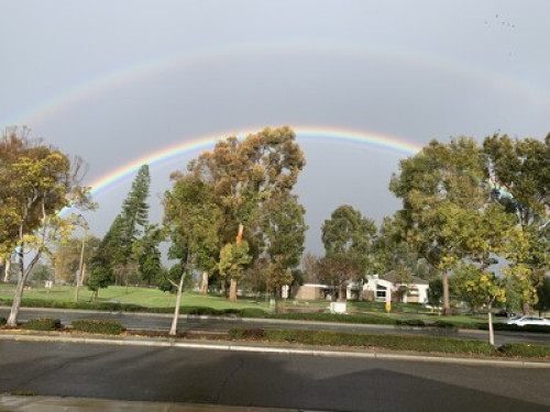 Center of Orange County - Gallery - 7