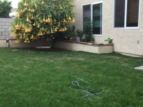 Center of Orange County  - Gallery -  5
