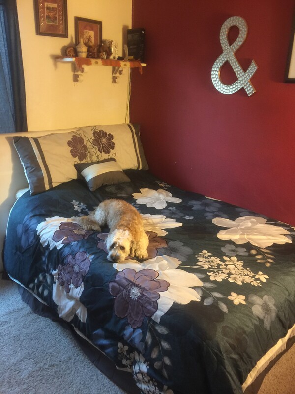  Red Room (Single Bed)  -  Center of Orange County  - Gallery -  1