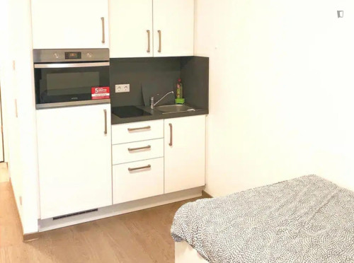 Cosy studio in well-connected and residential area in Potsdam Nord