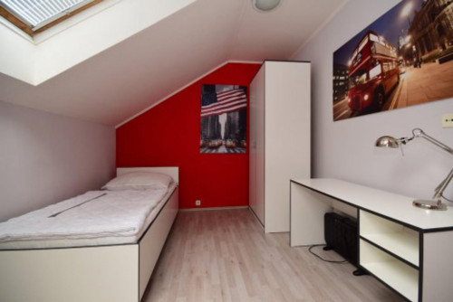 Pleasant studio in Žižkov