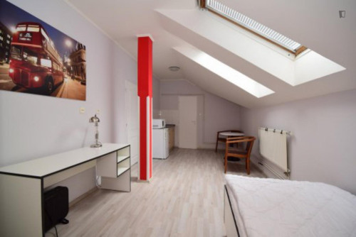 Pleasant studio in Žižkov