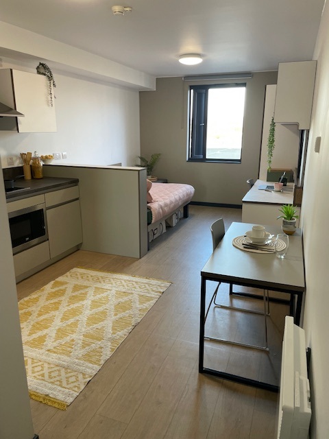 Deluxe Studio - Riverside - Gallery - 2