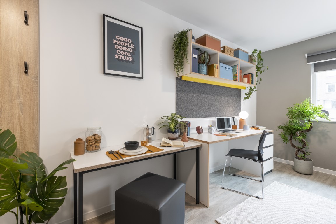 Premium Studio  -  Altura  - Gallery -  3