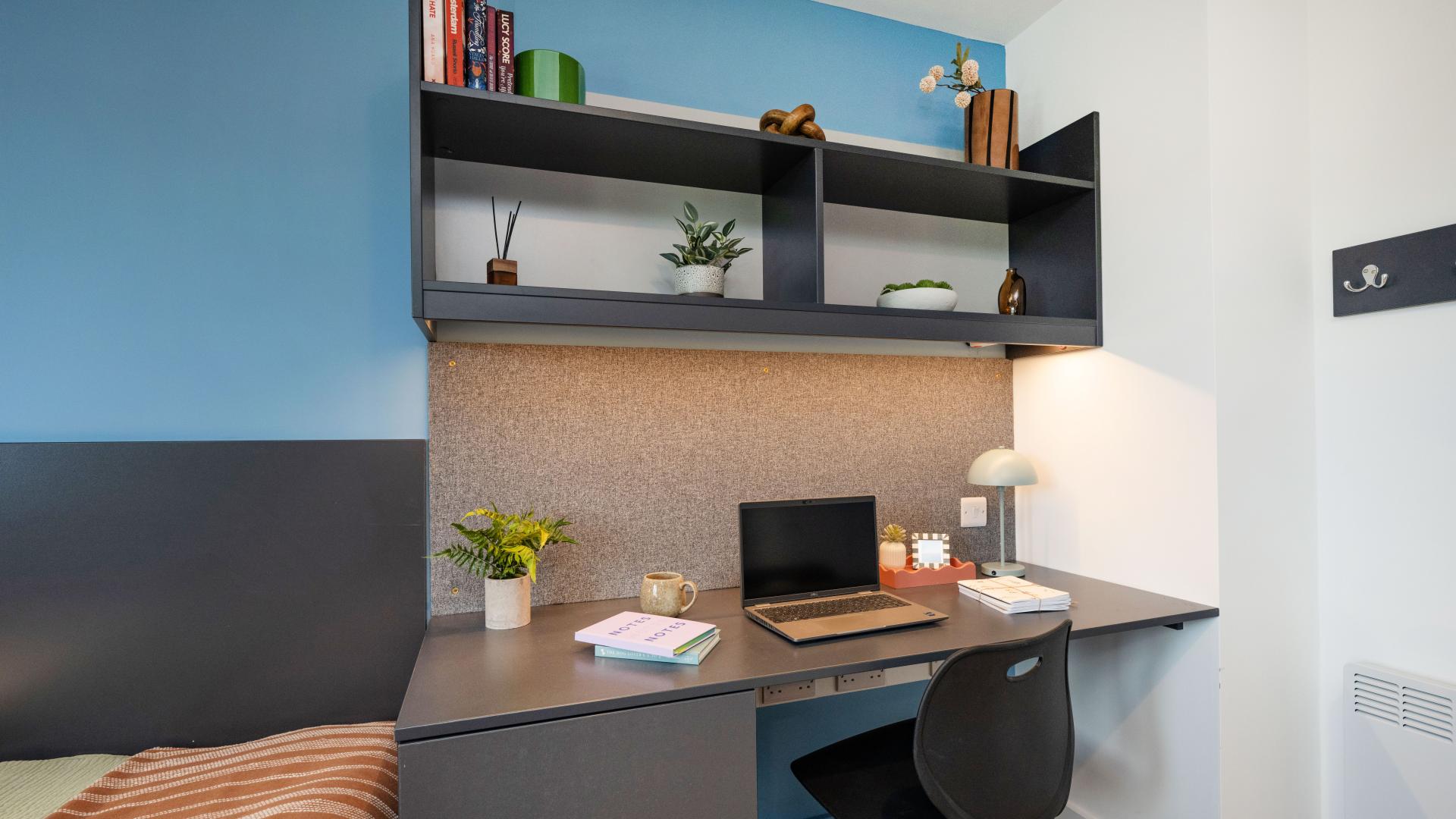  Premium Studio  -  Hollis Wharf  - Gallery -  23