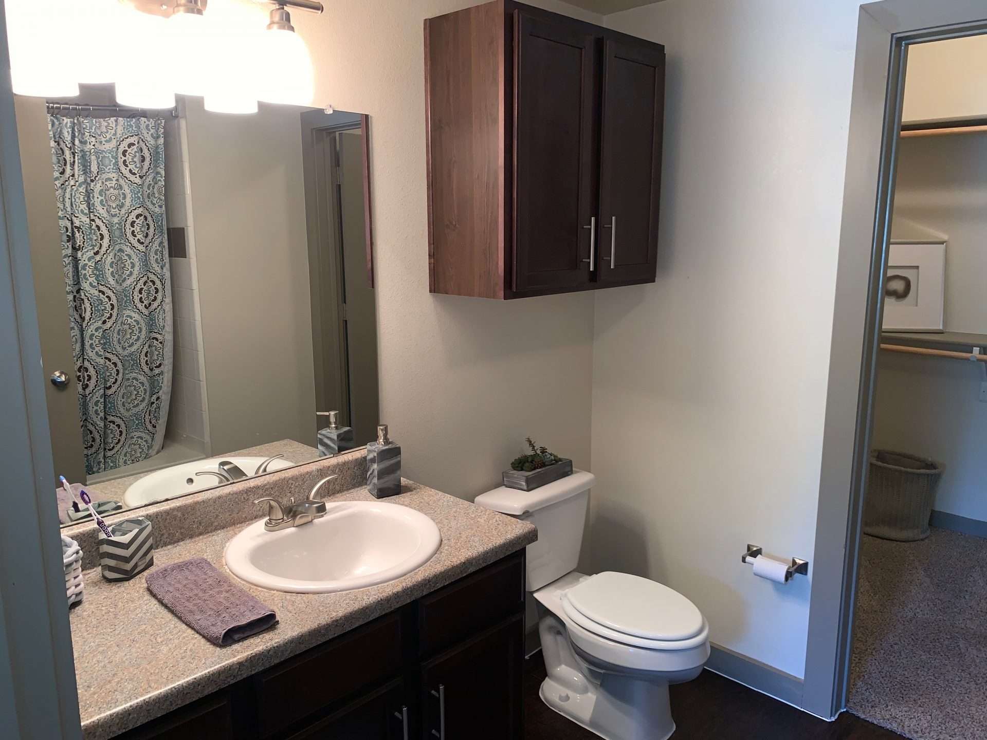 4 Bedrooms - University House TCU - Gallery - 3