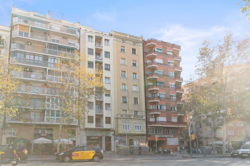 GUIZA - Gallery - 18