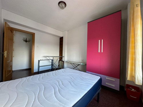 Excellenty double bedroom in the centre of Granada